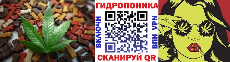 OMG онион  Дмитриев  Canna-Cookies марихуана 